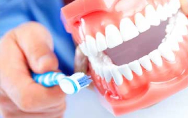 dental hygiene & care